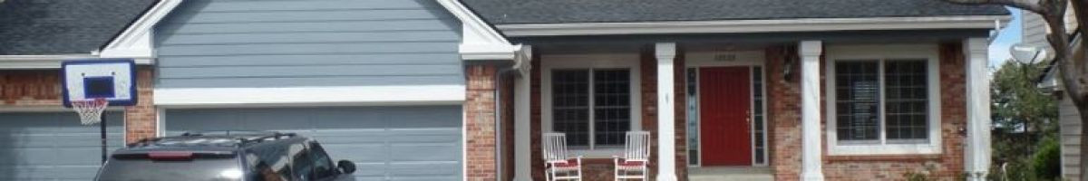 Pro Classic Painting 