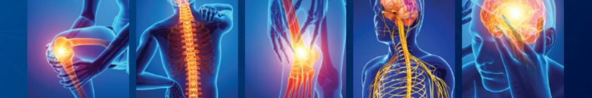 Elite Specialty Care Trenton 