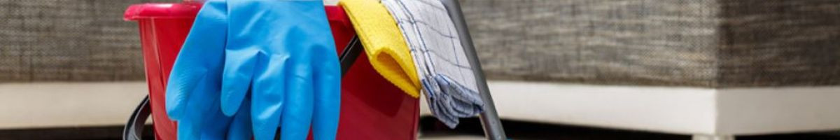 Bee-Dazzled Cleaning Service