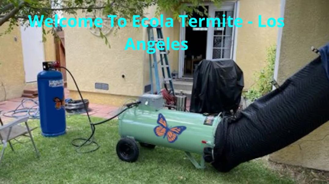Ecola Termite - Organic Pest Control in Los Angeles, CA