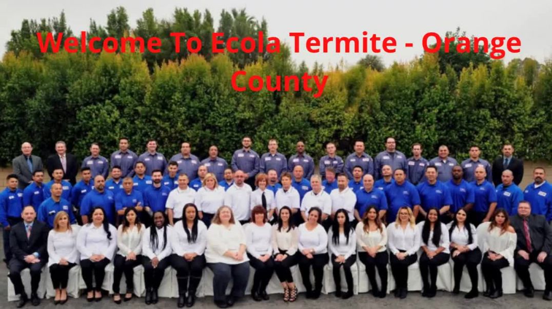 Ecola Termite Inspection in Orange County, CA