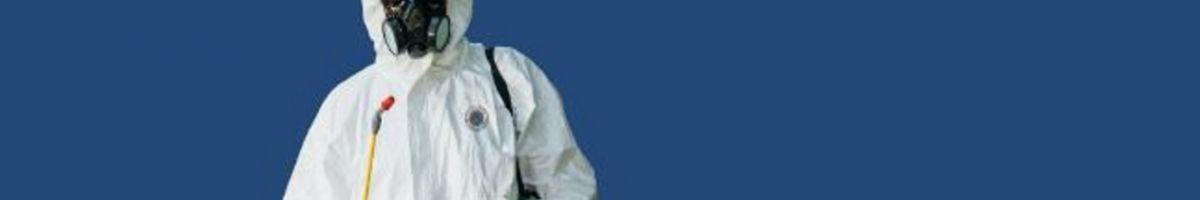 Bed Bug Texas Termite & Pest Control